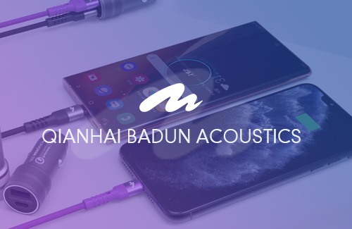 SHENZHEN QIANHAI BADUN ACOUSTICS TECHNOLOGY CO.,LTD